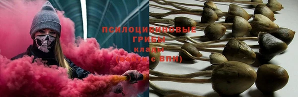 ГАЛЛЮЦИНОГЕННЫЕ ГРИБЫ Михайловск