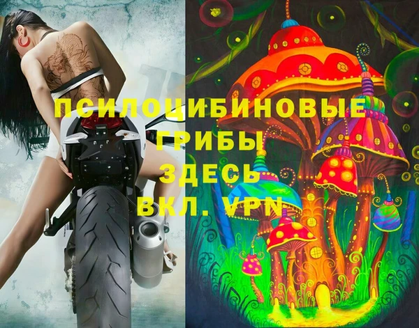 ГАЛЛЮЦИНОГЕННЫЕ ГРИБЫ Михайловск