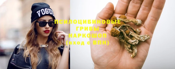 ГАЛЛЮЦИНОГЕННЫЕ ГРИБЫ Михайловск