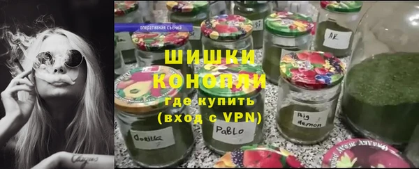 ГАЛЛЮЦИНОГЕННЫЕ ГРИБЫ Михайловск